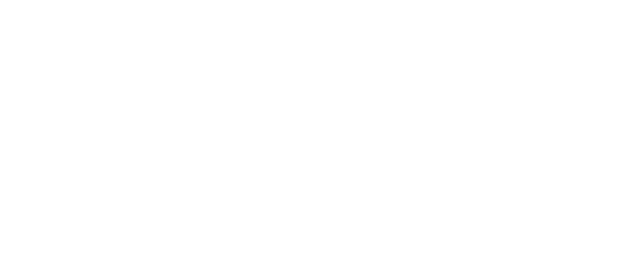 Balanced Lives