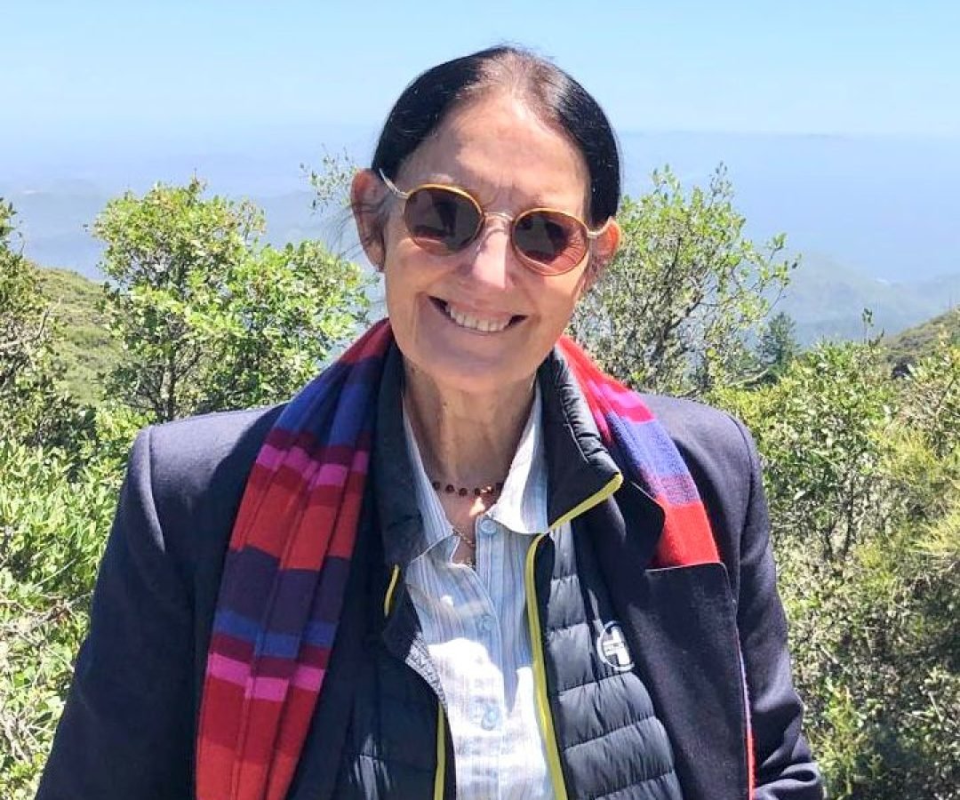 e6804343-601f-401e-a462-3b401b207cb1